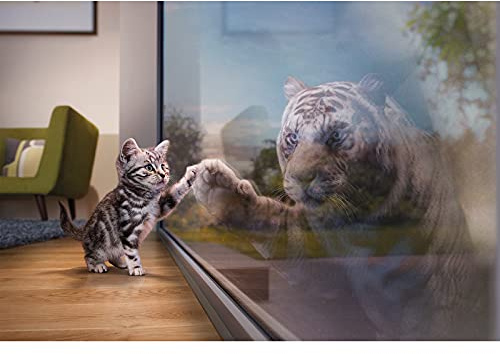 WACYDSD Puzzle 1000 Pièces Chat Face à Son Reflet de Tigre | Emboîtement Précis des Pièces, Tri A-H au Dos, Affiche Grand Format Fournie, Anti-Stress, Cadeau Déco 75 x 50 cm