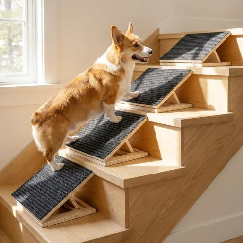 Lot de 4 rampes pour chien, réglables en hauteur, avec surface de tapis antidérapante et rembourrage, en bois, pour petits et grands chiens