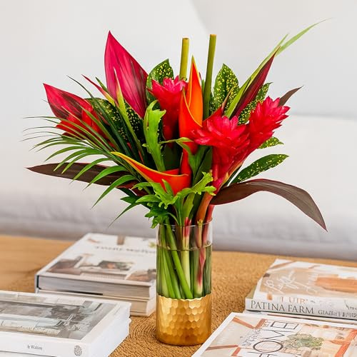 BloomsyBox: Tropical Bouquet Treasure with Bright Heliconias, Red Ginger and Tropical Greener | Fresh Cut Flowers, Hand-Tied, Farm Fresh Flowers Bouquet | Perfect for any special occasion | No Vase