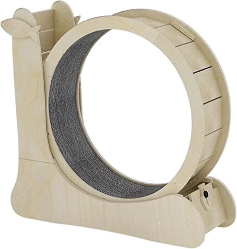 Ruota per esercizi per animali domestici, giocattolo per gatti, dispositivo di perdita di peso con pista in moquette per divertirsi e graffiare