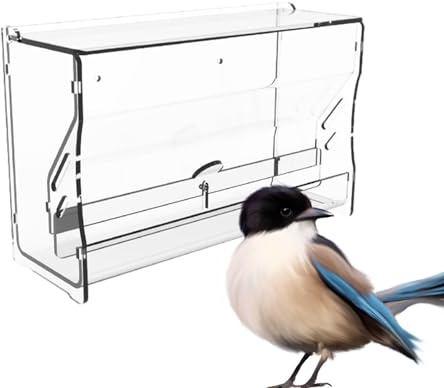 Distributeur de nourriture pour cailles – Distributeur automatique d'eau | pour perruches, cage pour animaux de compagnie, distributeur d'oiseaux | Accessoires robustes pour perruches et pivoines, out