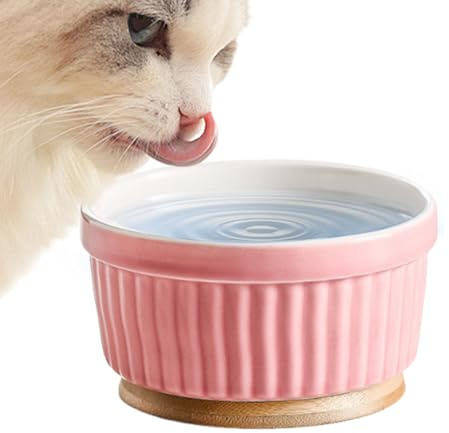 Fyrdyn Cuenco Calentado para Gatos,Bebedero Cerámico para Cachorros con Temperatura Constante | Termoestático para Perros,para Dueños De Cachorros, Climas Fríos, Invierno, Exterior, Sala De