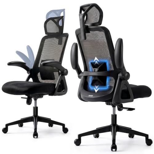 Realm of Thrones Mesh Ergonomic Office Chair, Back Support and Long Hours