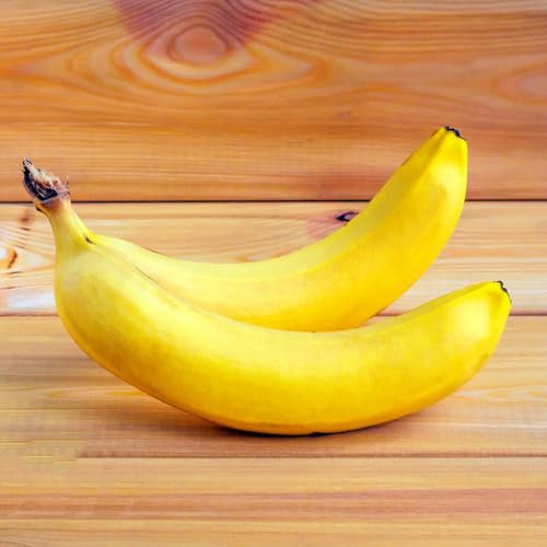 semi di banana di banano balcone esotico e resistente all'inverno banane da giardino roccioso con da frutto sostenibili aiuola rialzata frutto 85pcs