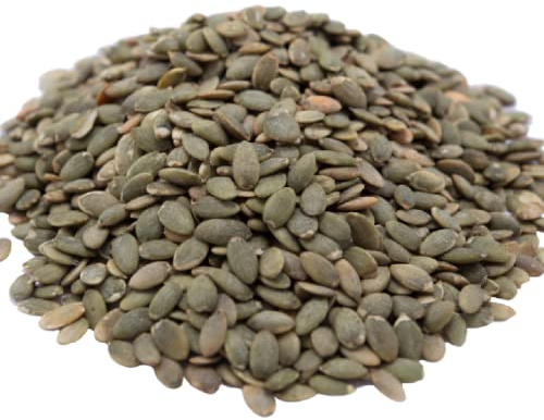 GERBS Lightly Sea Salted Pumpkin Seed Kernels 2 LBS|Top 14 Allergy Free Food |Use in salads, yogurt, oatmeal, trail mix|Grown in Canada, packed in US