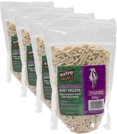 Extra Select Mealworm High Energy Suet Pellets Wild Bird Food - Protein, Fat Rich Year-Round Feeding - 550 g (Pack of 4)