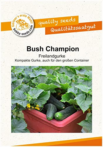 Gurkensamen Bush Champion Salatgurke Portion
