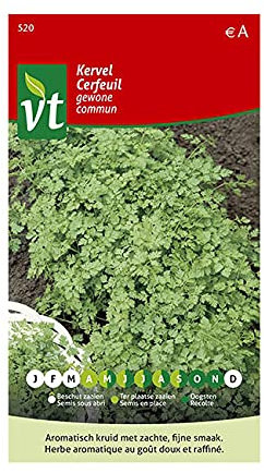 Common Chervil Seeds - Sow Several Times Throughout The Season - 8 g - Seeds: 500