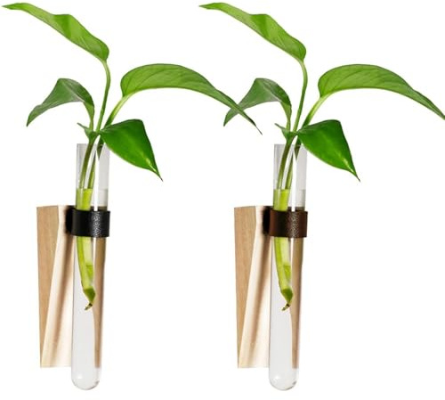 txuzong Estación de Propagación para Plantas 2 Piezas - Portalabrillos Colgante con Tubos de Ensayo, Decorativo y Salvaspacio - Ideal para Hogar, Oficina, Dormitorio o Pasillo