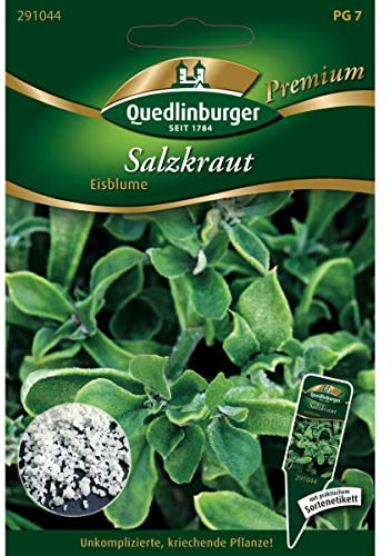 Salzkraut, Mesembryanthemum crystallinum, ca. 5-9 Samen