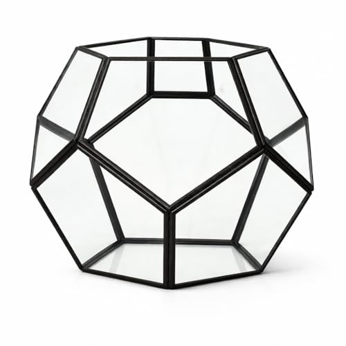 18cm Black Geometric Glass Terrarium – Modern Dodecahedron Planter & Decorative Display Holder for Succulents, Air Plants & Indoor Home Decor