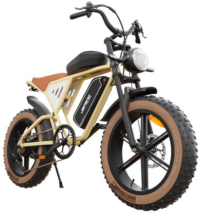 JANSNO Bicicleta Eléctrica 20 x 4.0 Fat Tire, Sistema de transmisión de 7 velocidades, Frenos de disco mecánicos delanteros y traseros, Bicicleta eléctrica para Adultos, batería extraíble de 48V 37Ah