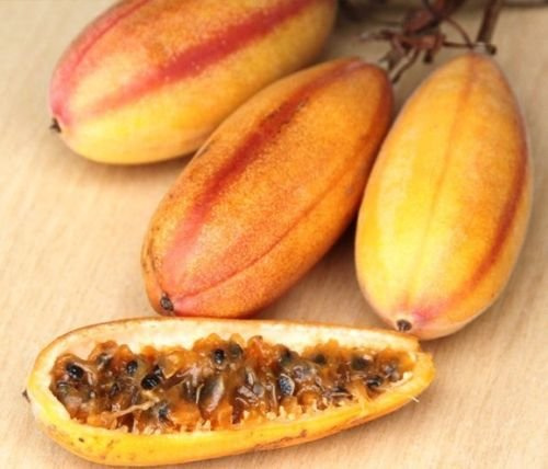 Banana passionfruit, PASSIFLORA MOLLISSIMA passion fruit flower seed 25 SEEDS