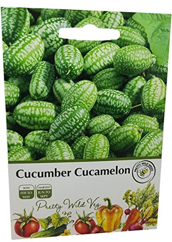 Cucumber Cucamelon Seeds in Pictorial Packet from a UK Seller Cute Fruits with Unique Crunch & Flavour