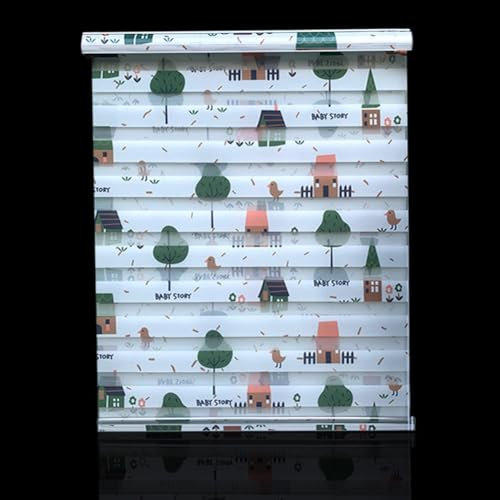 Tages- und Nacht-Rollo, Zebra-Fensterrollo, Lichtfilterung, Sichtfenster, Sonnenschutz für Schlafzimmer, Badezimmer, zweilagiges Zebra-Rollo (Schwarz, 170 x 170 cm)