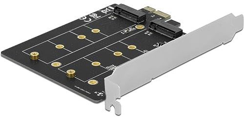 DeLOCK 90432 Carte et Adaptateur d'interfaces Interne M.2