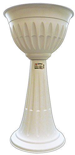 Bama Alba Cup, Fleur, 30 x 43 x 46 cm, Blanc, 30 x 43 x 74,5 cm