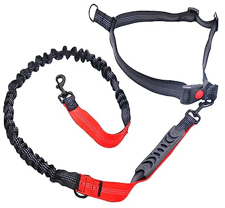 HAPINARY Hundeleine Für Große Und Mittelgroße Hunde Seil Mit Reflektierendem Band Bungee-Leine Für Die Beim Ziehen Von Haustieren