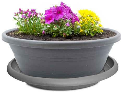 Macetero y platillo como cuenco para plantas resistente a la intemperie con agujero, maceta grande de 45 cm en color gris como maceta redonda, resistente a las heladas para exteriores, maceta para