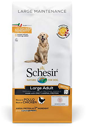 Schesir, Cibo Secco per Cani Adulti di Taglia Grande al Gusto Pollo, Linea Mantenimento in Crocchette - Formato Sacco da 12Kg