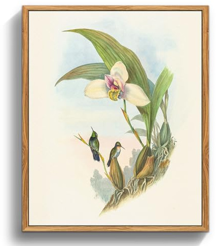 MHARTK66 Cuadros Decoracion Dormitorios con Marco Madera, 30x40 cmVintage Pájaro Lienzos Decorativos Pared Salon, Cuadros Pequeños Decoracion Pared Flores y Colibríes, Wall Art Comedor Pasillo Baño