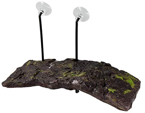 Zoo Med Isola Turtle Dock - Bacino Galleggiante Tartarughiera per tartarughe d'acqua, con ventose, sistema autolivellante, 12,5X28,5 CM