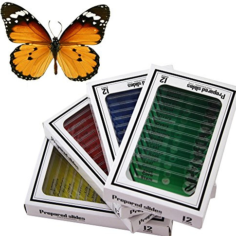 WhizKidsLab 48pzas Juego Muestras Preparadas Microscopio Animales Insectos Plantas Flores Plástico 1pza Espécimen Mariposa Real Estudiantes Ciencia Juego Educativo