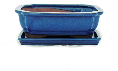 exotenherz - Bonsai-Schale mit Unterteller Gr. 3 - Blau - eckig - Modell G12 - L 18cm - B 14cm - H 5,5cm