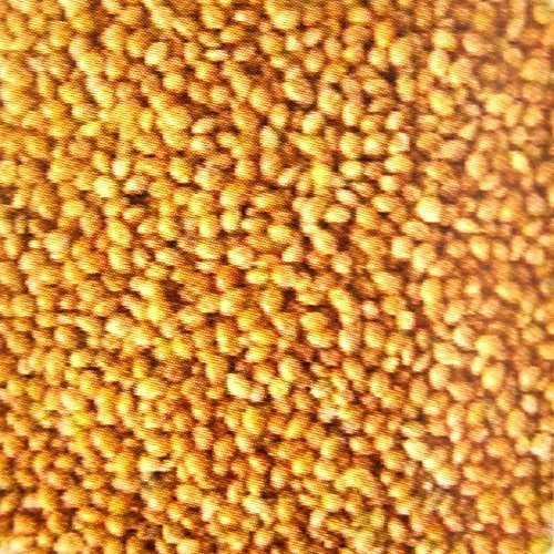 10 kg Hirse gelb lose, Vogelfutter, Wellensittiche, Kanarienvögel