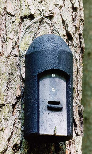 Schwegler Naturschutzprodukt Fledermaushöhle 1FD mit dreifacher Vorderwand Artenschutz Produkt Fledermäuse