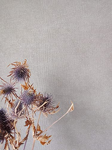 NEWROOM Papier peint Beige Couleur Unie Intissé - Couleurs Unies Gris Gris Clair Structure Aspect Textile Moderne