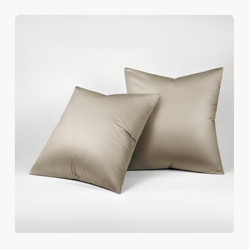Seralino Lyocell Kissenbezug 80x80 Beige Taupe (2er Set) | 100% Tencel Kopfkissenbezug 80x80 | hochwertige Kissenhülle| Reißverschluss | Oeko-Tex | Atmungsaktiv | Allergiker Kissenbezüge
