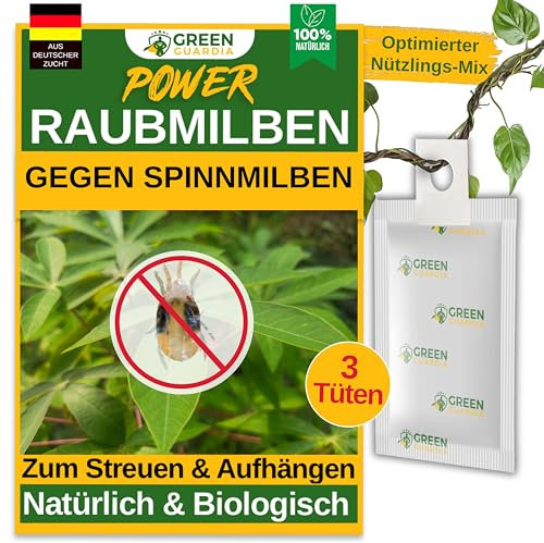 GREEN GUARDIA Power Raubmilben gegen Spinnmilben – 3 Tüten - Biologisches Mittel zur effektiven Thripse Bekämpfung für Zimmer- & Zierpflanzen sowie Cannabis– umweltfreundlich,chemiefreie Mittel