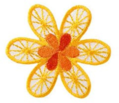 Monoquick Applikation, gelb, cm