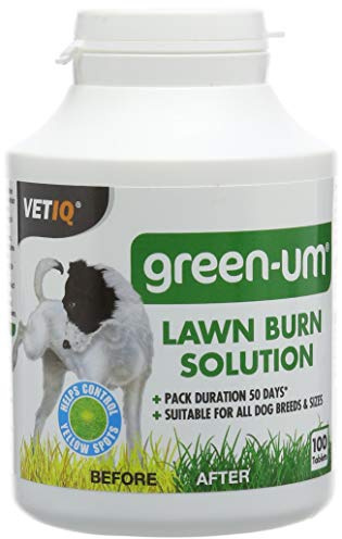 Mark & ​​Chappell Limited - Solution Burns lawn