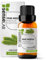 Ätherisches Kiefernnadelnöl - 100% Reines, Natürliches Kiefernnadelöl Für Die Therapeutische Anwendung - Für Diffuser und Luftbefeuchter Ein Waldartiger Duft, Luftreinigend Und Zum Entspannen (10 ml)