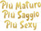 Più Maturo Più Saggio Più Sexy Striscione Glitterato Oro, Decorazioni Compleanno, Decorazioni Divertenti, Decorazioni Feste di Compleanno, Decorazioni Feste di Pensionamento, Idee Regalo
