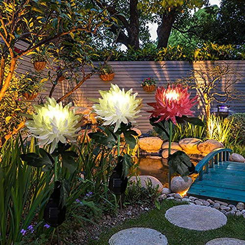 DLAZUM Luces solares LED para Exteriores WakeDay Flower, lámpara de crisantemo para jardín, Patio, césped, Paisaje, decoración, Camino, Fiesta, Patio, Adornos, estaca de Flores