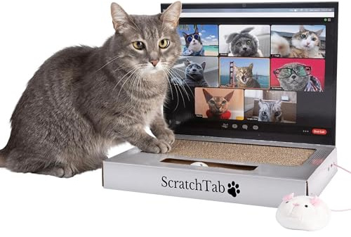 ScratchTab Ordinateur Portable à Gratter en Carton pour Chat, Jouet Interactif avec Souris, Griffoir Alternatif, Arbre à Chat de Qualité Supérieure et Durable