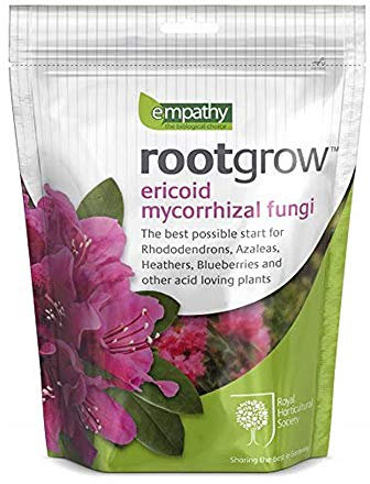 Empathy Rootgrow Ericoid micorrizici Rootgrow per rododendri e azalee