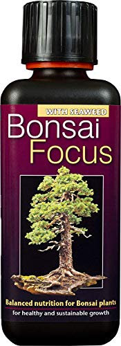 2 x Bonsai Focus Liquid Concentrated Fertiliser 300ml