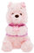 Disney Store Official - Winnie Puuh - Kuscheltier - 26 cm/9 - Sakura Kollektion - Rosa Teddybär mit Kirschblüten-Details - Ab der Geburt geeignet - Ab 0 Jahren