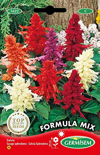 Germisem Feuersalbei EC1622 Mehrfarbig