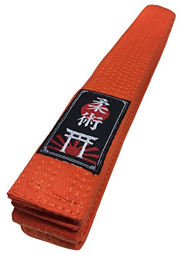 Budodrake Ju Jutsu/Jiu-Jitsu Gürtel orange (280)