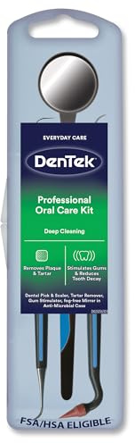 DenTek Professional Oral Care Kit, Complete Set of Dental Tools Including Mirror, Dental Pick, Scaler & Stimulator