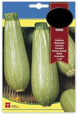 Sobre de Semillas de Calabacín para Hacer Tus Propias Verduras en Casa