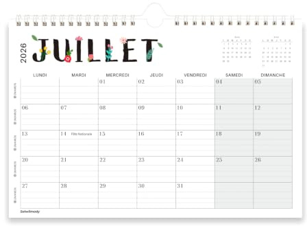 Calendrier 2026 2027 Mural (18 Mois) A4 Juillet 2026 à Décembre 2027 Calendrier Familial Planificateur Mensuel Annuel 31 * 21CM Vue Mensuelle Calendrier Organisation Travail Vacances