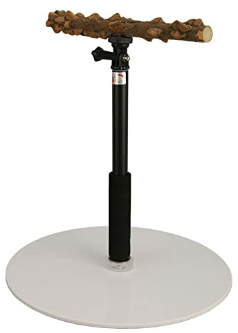 Asixxsix Aves Percha Stand, 11.8-37inch Altura Ajustable Loro Formación Percha Stand Perchas de Viaje para pájaros portátiles y Desmontables Robusto y Duradero Soporte de Juego