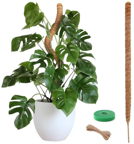 120cm Bastone Muschio con Velcro, Spago, Palo Supporti Piante Rampicanti per Interno e Esterno, Sostegno Piante Giardino Pieghevoli Fibra Cocco, Tutore Monstera Rampicanti per Che Crescono Verso Alto