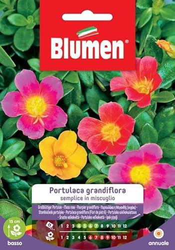 SEMI PORTULACA GRANDIFLORA BLUMEN SEMENTI FIORI